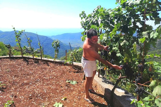 Unique gastro experience with locals in high hills above Budva! - What the four hours feel like