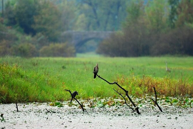 Virpazar Skadar Lake National Park Guided Boat Tour - Swimming is an optional final touch