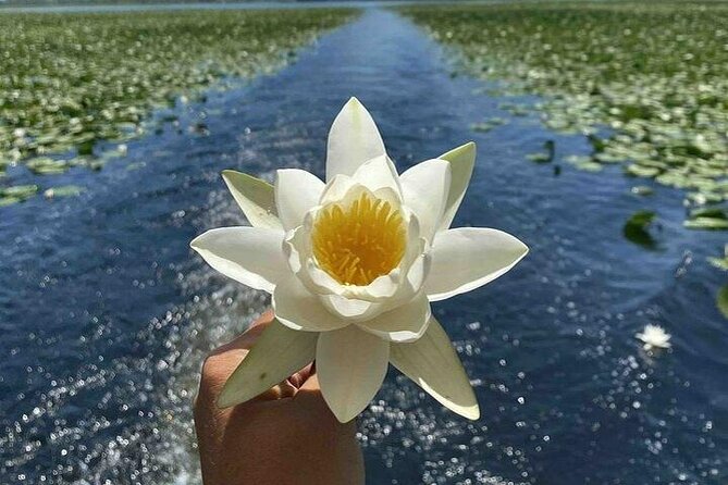 Virpazar Skadar Lake National Park Guided Boat Tour - Lesendro adds a strong historical stop