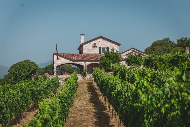 Wine tour- Family winery visit, food tasting & Skadar Lake boat cruise - Key points to know before booking